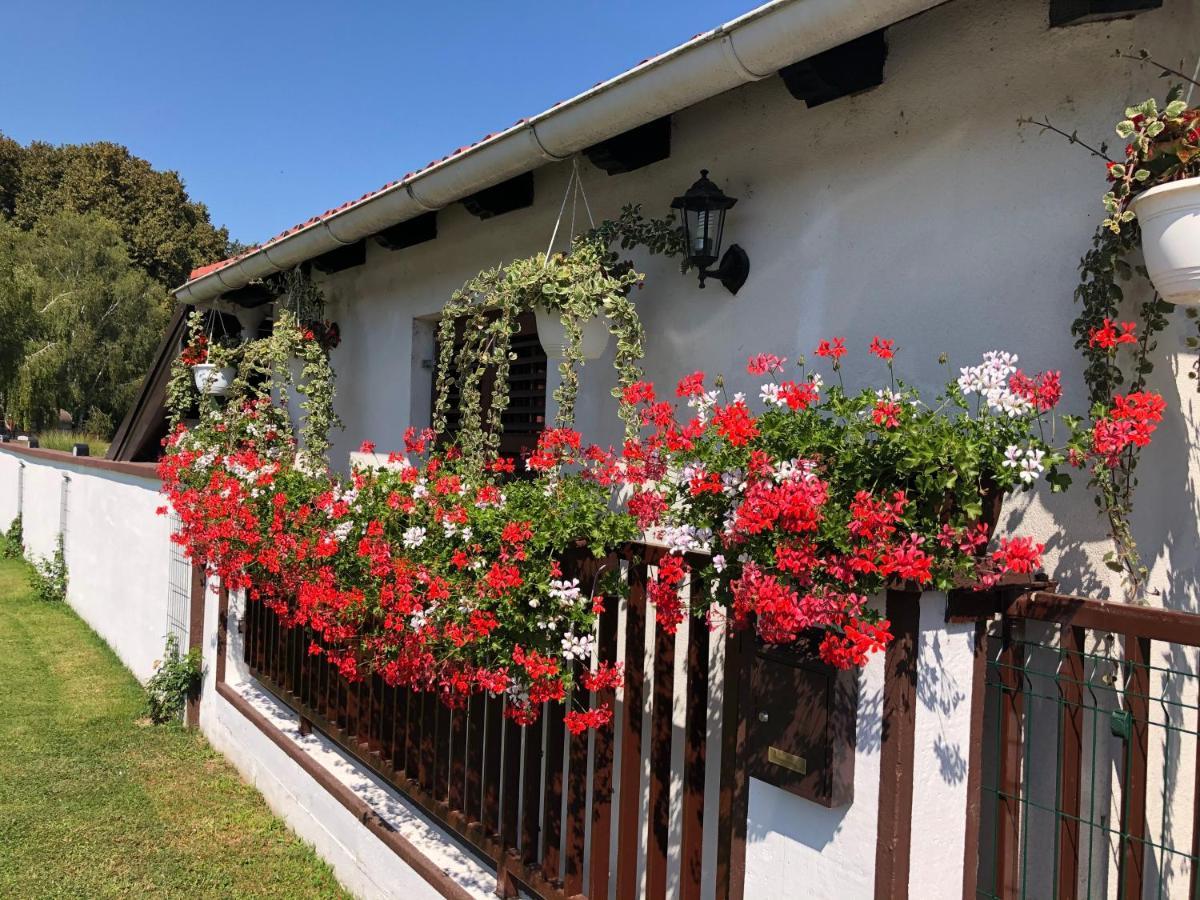 Bed and Breakfast Sobe Glavas Garesnica Exterior foto