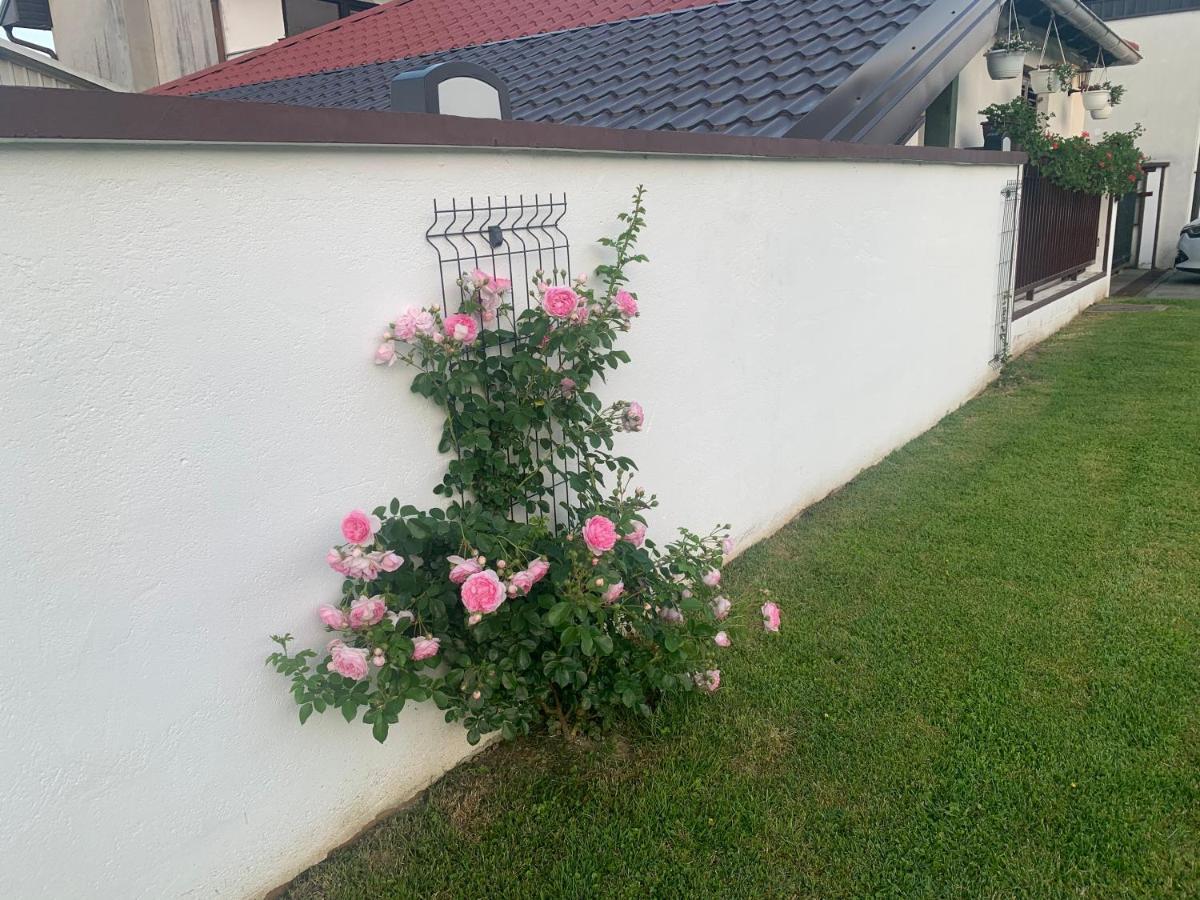 Bed and Breakfast Sobe Glavas Garesnica Exterior foto