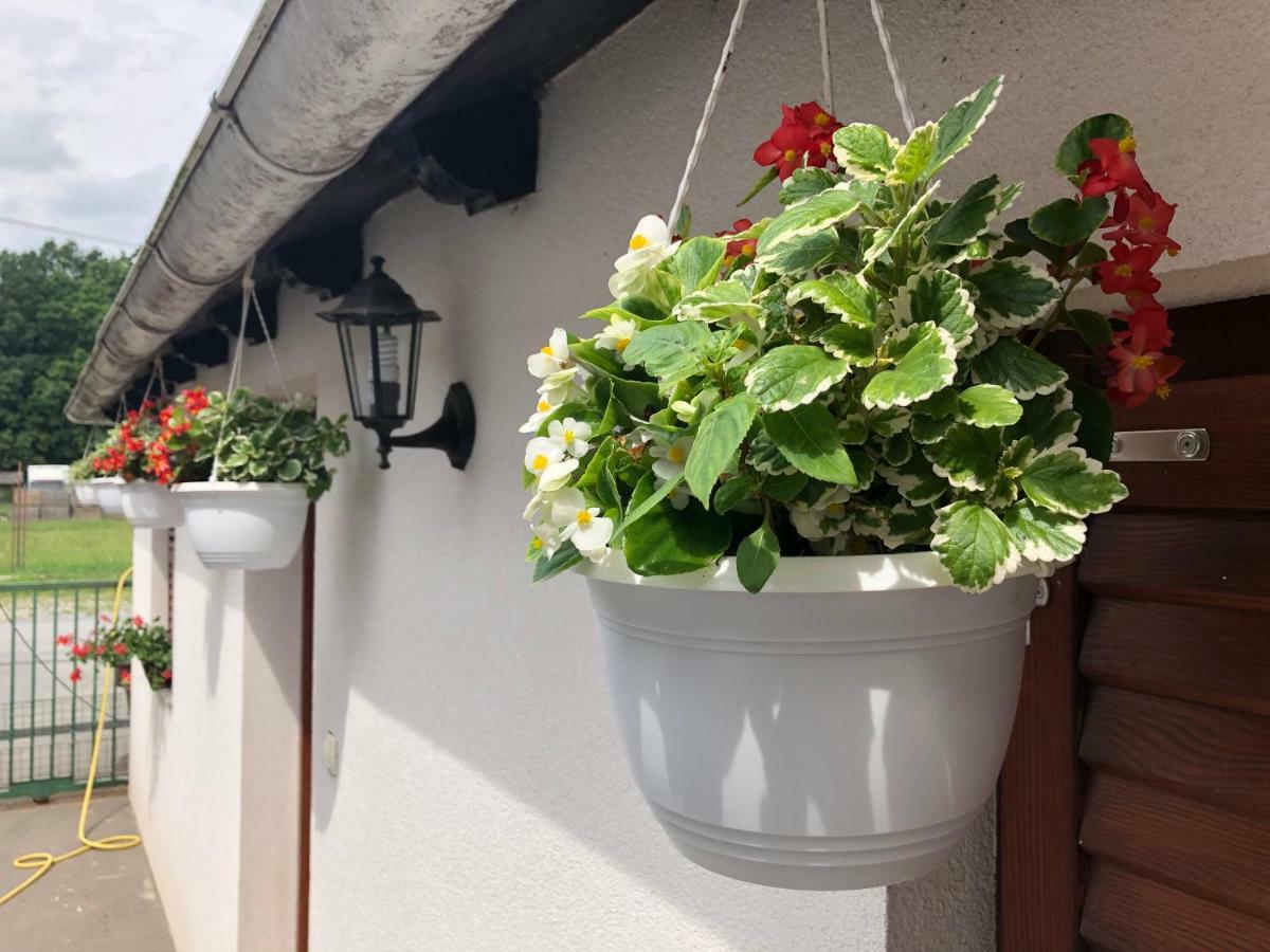 Bed and Breakfast Sobe Glavas Garesnica Exterior foto